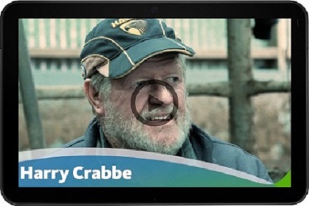Harry Crabbe vid.jpg
